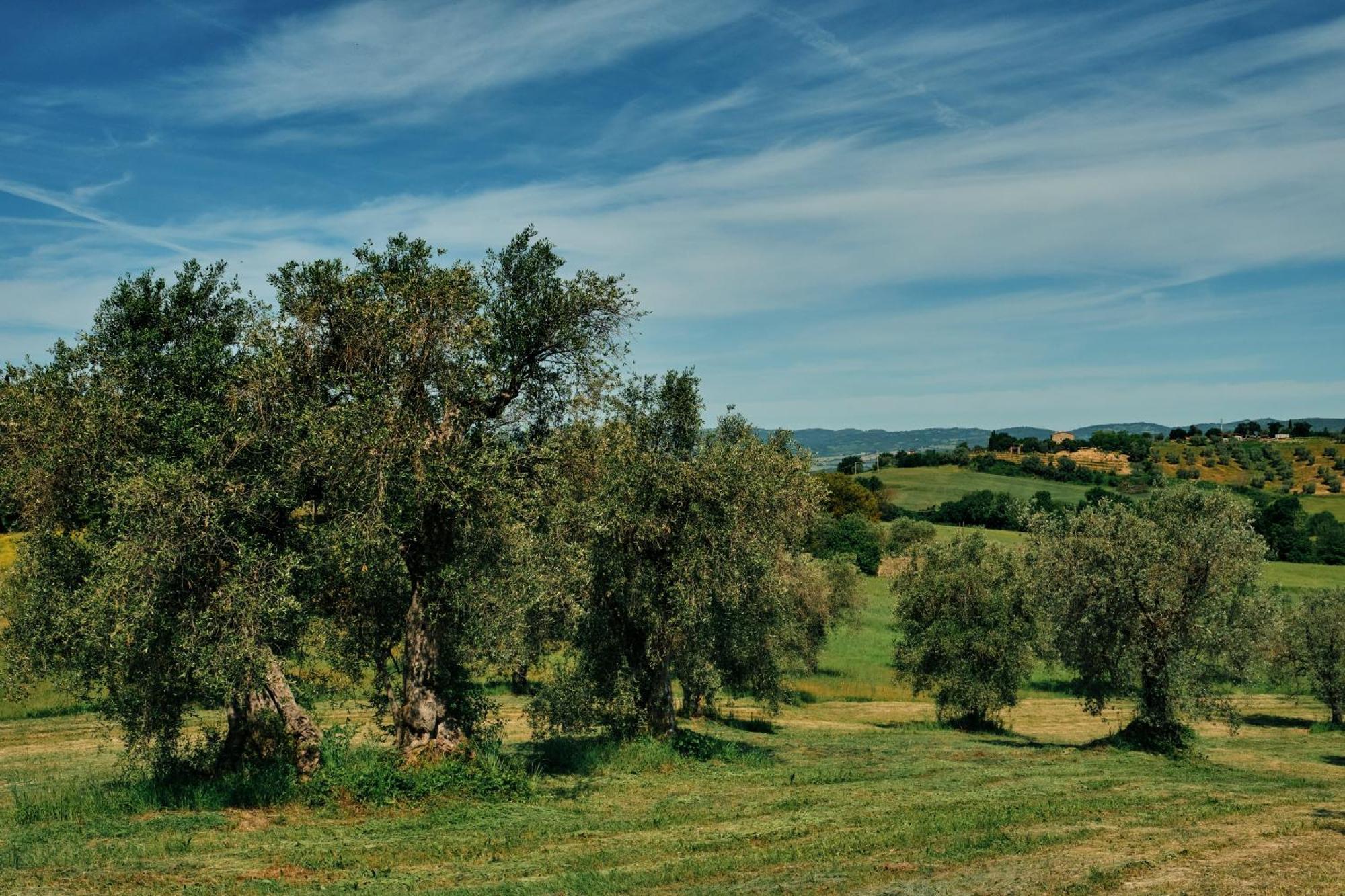8380 Agriturismo Il Saragiolo Manciano Eksteriør bilde